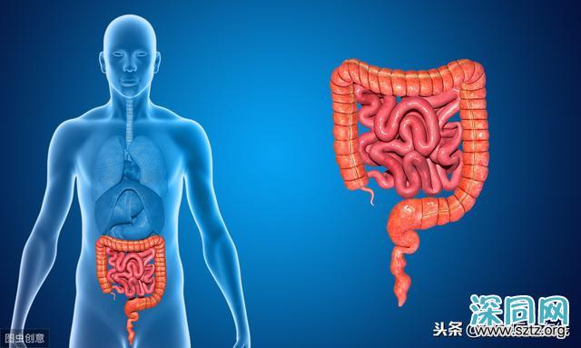 男性健康:5个重点部位的健康,男人要时时关注 男性健康:5个重点部位的健康,男人要时时关注