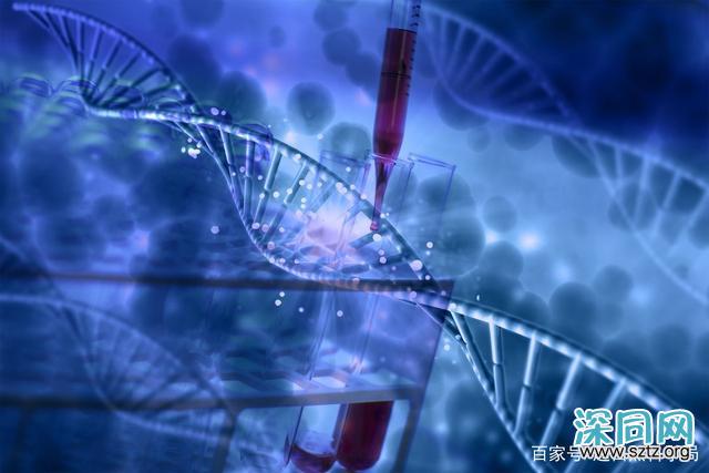 为什么说同性恋不是一种精神疾病 为什么说同性恋不是一种精神疾病