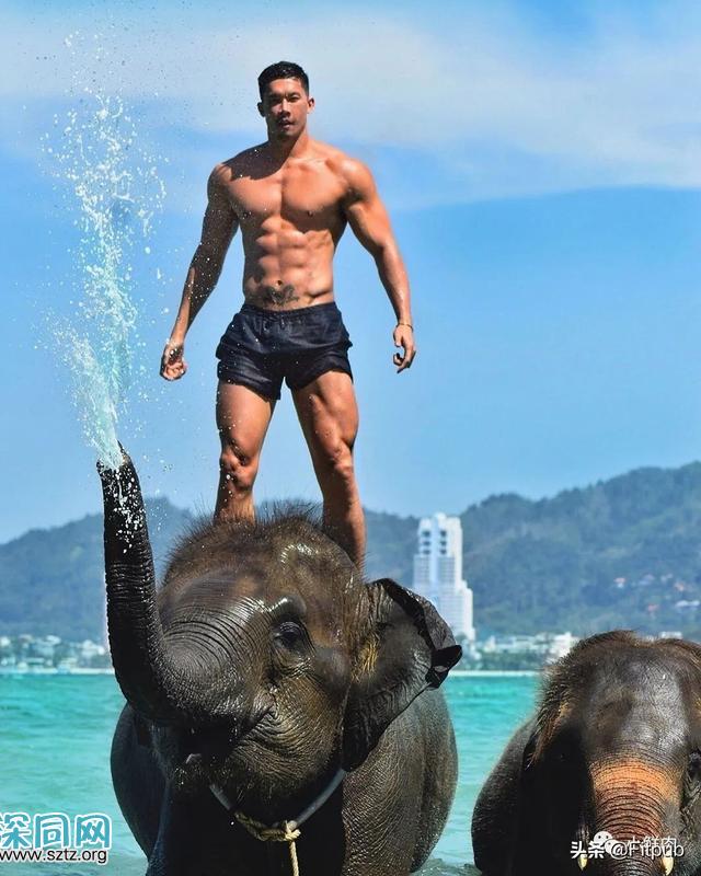 泰国超帅和尚火了!网友:脱衣后让人想破戒 泰国超帅和尚火了!网友:脱衣后让人想破戒