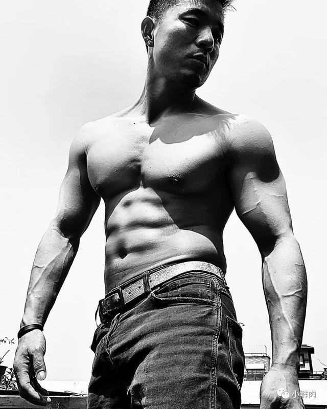 网友夸他为内蒙肌肉网红1哥,E杯胸肌实力太强大! 网友夸他为内蒙肌肉网红1哥,E杯胸肌实力太强大!