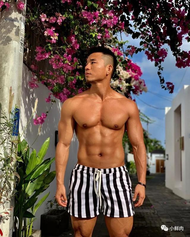 网友夸他为内蒙肌肉网红1哥,E杯胸肌实力太强大! 网友夸他为内蒙肌肉网红1哥,E杯胸肌实力太强大!