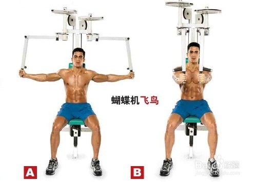 怎样把<a href=http://www.muscles.com.cn/xiongbu/ target=_blank class=infotextkey>胸肌</a>练大